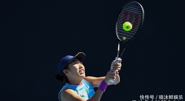 及掩耳之势 及掩耳之势